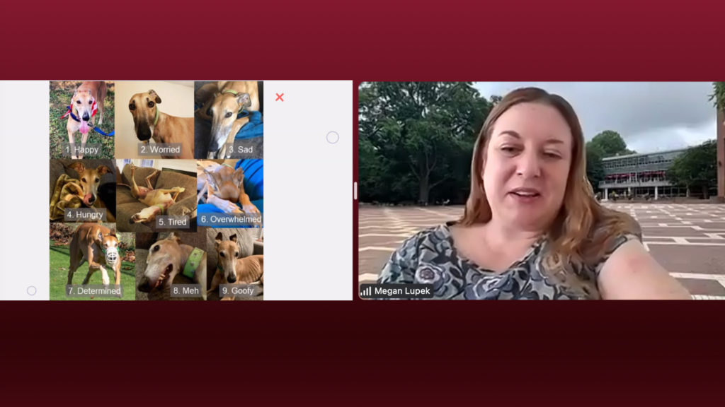 A screenshot from a zoom meeting with a woman speaking side-by-side with a visual of dogs with differnt expressions